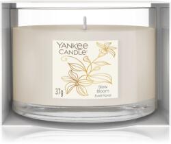 Yankee Candle Slow Bloom 37 g