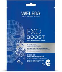 Weleda Exo Boost Kék tárnics és havasi gyopár
