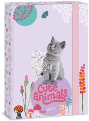 Ars Una Cute Animals A4 füzetbox Kitten (50853687)