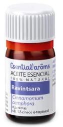 Esential aroms Ulei Esential de Camfor, Esential'aroms, 5 ml (EA50377)