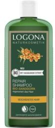 LOGONA Sampon cu Catina Bio, Logona, 250 ml