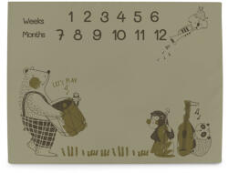 Ceba Baby Basic Band Mérföldkő Fotózós Alátét 92x72cm - Emlékezetes Babafotókhoz és Hónapról Hónapra