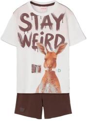 BOBOLI 533102 short sleeve set - Brown / White (Chemical White)