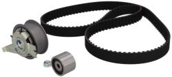 KAMOKA Set curea de distributie KAMOKA 7001075 (7001075)