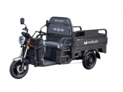 Evotools Triciclu Electric Cargo