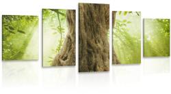 Dovido Tablou 5-piese trunchi de copac - 100x50