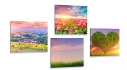Dovido Set tablouri natura în culori pastelate - 4x 60x60