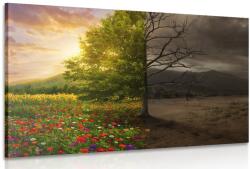Dovido Tablou doua versiuni a unui copac - 30x20