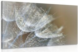 Dovido Tablou păpădie macro în fundal - 30x20