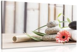 Dovido Tablou natura moartă meditativă wellness - 90x60
