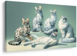Dovido Tablou pisici elegante - 30x20