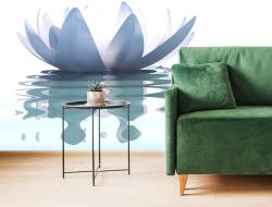 Dovido Tapet autoadeziv floare de lotus - 343x231