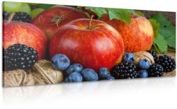 Dovido Tablou recoltă de toamnă - 120x60