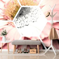 Dovido Tapet autoadeziv gerbera într-un hexagon - 196x132