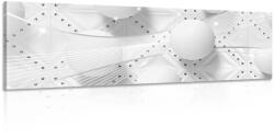 Dovido Tablou lux alb în design alb-negru - 135x45