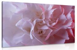 Dovido Tablou petale de garoafe - 40x30