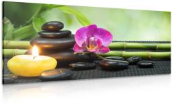Dovido Tablou natura moartă Feng Shui - 120x60