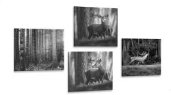 Dovido Set tablouri animale de pădure în design alb-negru - 4x 60x60