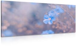 Dovido Tablou flori albastre pe fundal vintage - 80x40