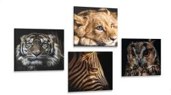 Dovido Set tablouri animale sălbatice - 4x 40x40