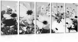Dovido Tablou 5-piese luncă de flori de primăvară în design alb-negru - 150x75