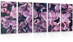 Dovido Tablou 5-piese flori violete de liliac - 100x50