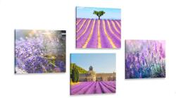 Dovido Set tablouri bogăția de lavandă - 4x 60x60