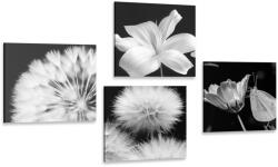 Dovido Set tablouri frumusețea florilor în alb-negru cu fluture - 4x 40x40