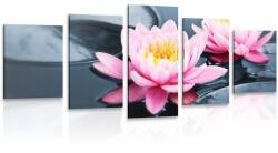 Dovido Tablou 5-piese floare de lotus în lac - 150x75