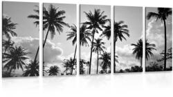 Dovido Tablou 5-piese palmieri de cocos pe plajă în design alb-negru - 150x75