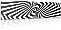 Dovido Tablou iluzie alb-negru - 90x30