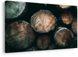 Dovido Tablou trunchiuri de lemn de aproape - 150x100