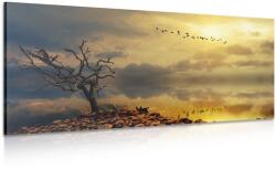 Dovido Tablou copac ofilit - 140x70