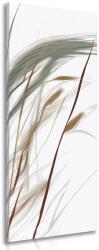 Dovido Tablou fire de iarbă suflate - 30x90