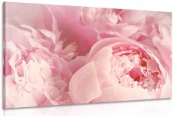 Dovido Tablou petale ale florilor - 60x40