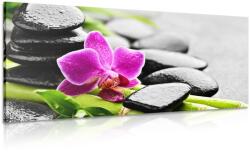 Dovido Tablou natura moartă wellness cu orhidee violetă - 200x100