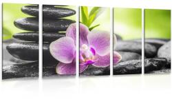 Dovido Tablou 5-piese compoziție Zen tropicală - 200x100