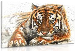 Dovido Tablou prădătorul animalelor - 40x30