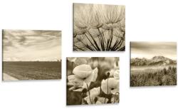 Dovido Set tablouri peisaj sepia cu flori - 4x 60x60
