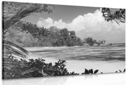 Dovido Tablou plajă fermecătoare pe insula La Digue alb-negru - 40x30