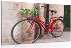 Dovido Tablou bicicletă rustică - 120x80