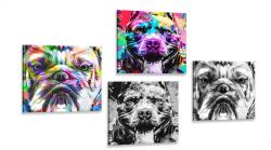 Dovido Set tablouri câini în stilul pop art - 4x 60x60