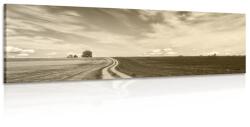 Dovido Tablou peisajul încăntător în design sepia - 120x40