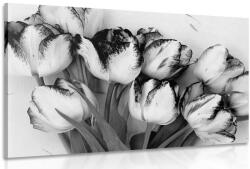 Dovido Tablou lalele de primăvară în design alb-negru - 120x80