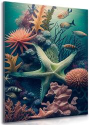 Dovido Tablou stea de mare suprarealiste - 30x40