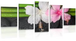 Dovido Tablou 5-piese wellness natura moartă - 100x50