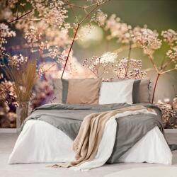 Dovido Fototapet autoadeziv natura moartă din flori - 441x297