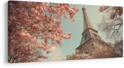 Dovido Tablou parisul de primăvară cu Turnul Eiffel - 140x70