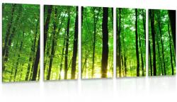 Dovido Tablou 5-piese pădure proaspăt verde - 200x100