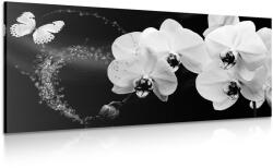 Dovido Tablou orhidee și fluture alb-negru - 120x60